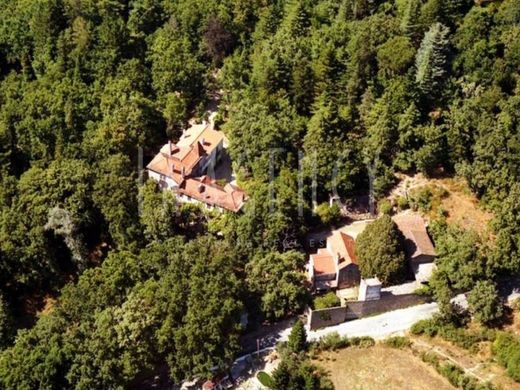 Luxury House for sale in Gouveia, 2 500 000 €, Photo 2