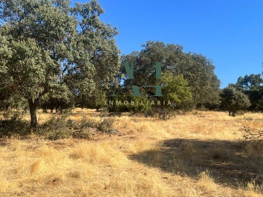 Maison de luxe à vendre à Cáceres, 404 500 €, Photo 4