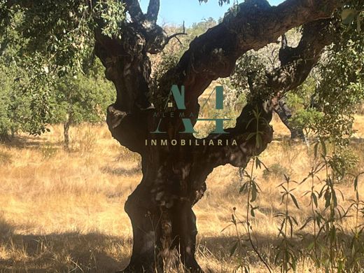 Maison de luxe à vendre à Cáceres, 404 500 €, Photo 6
