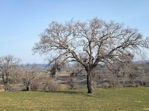 Maison de luxe à vendre à Scansano, 800 000 €, Photo 5