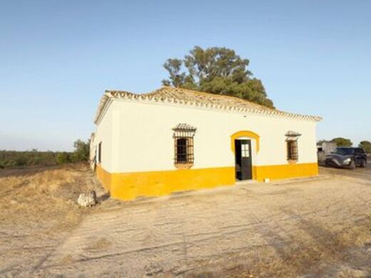 Maison de luxe à vendre à Almonte, 1 349 000 €, Photo 4
