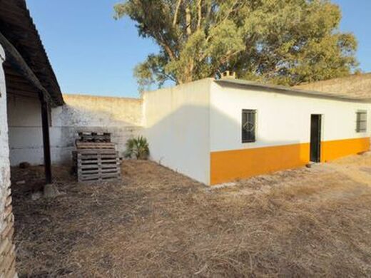Maison de luxe à vendre à Almonte, 1 349 000 €, Photo 5