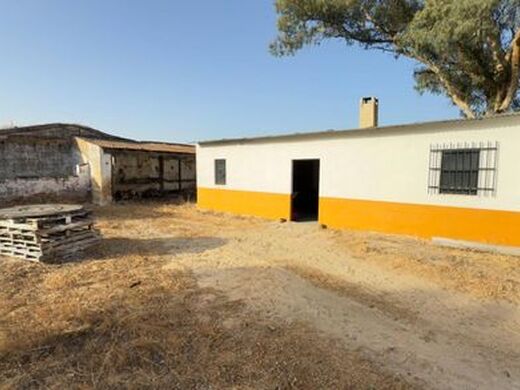 Maison de luxe à vendre à Almonte, 1 349 000 €, Photo 7