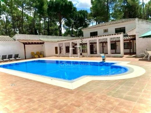 Luxury House for sale in Los Llanos, 640 000 €, Photo 2