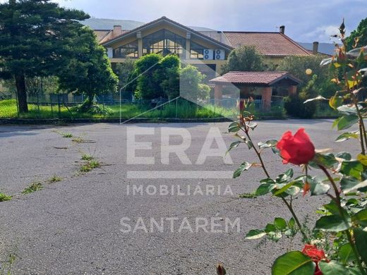 Maison de luxe à vendre à Alcanena, 1 850 000 €, Photo 3