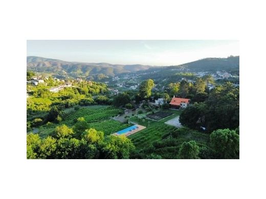 Luxury House for sale in Sever Do Vouga, 2 950 000 €, Photo 3