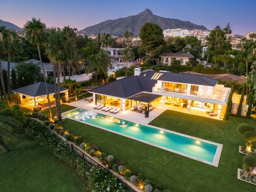 Maison de luxe à vendre à Nueva Andalucia, 19 500 000 €, Photo 4