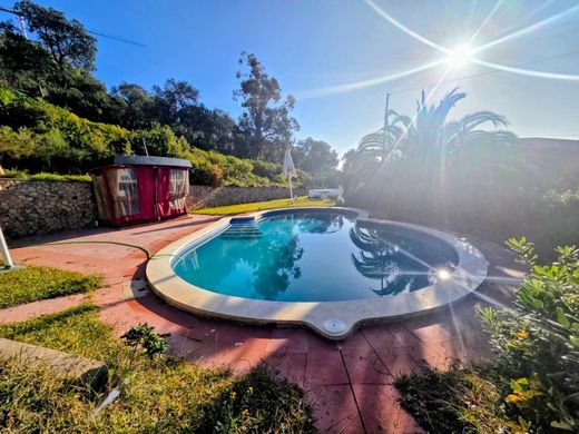 Maison de luxe à vendre à Palafolls, 449 000 €, Photo 3
