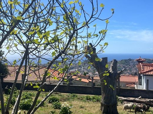 Luxury House for sale in Funchal, 445 000 €, Photo 3