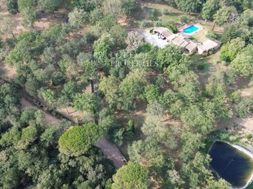 Maison de luxe à vendre à Santa Cristina d'Aro, 1 300 000 €, Photo 2