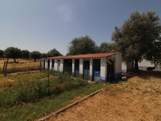 Maison de luxe à vendre à Mora, 750 000 €, Photo 6