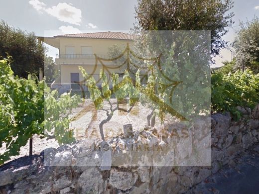 Maison de luxe à vendre à Mangualde, 1 100 000 €, Photo 3