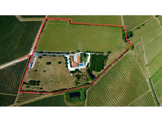 Luxury House for sale in Torres Vedras, 1 435 500 €, Photo 2