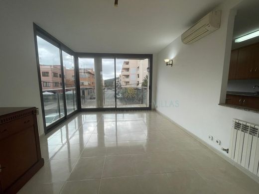 Luxury Apartment for sale in Pollença, 440 000 €, Photo 6
