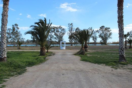 Luxury House for sale in Deltebre, 2 500 000 €, Photo 7