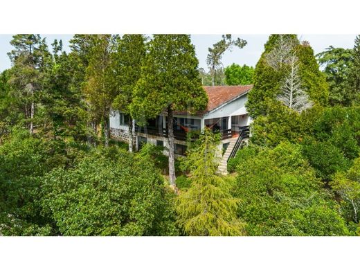 Maison de luxe à vendre à Arganil, 683 000 €, Photo 2