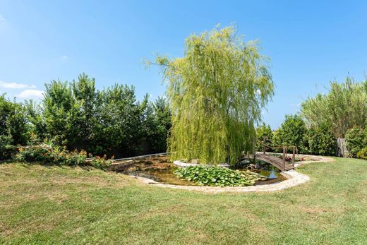 Luxury House for sale in Cascina, 950 000 €, Photo 3