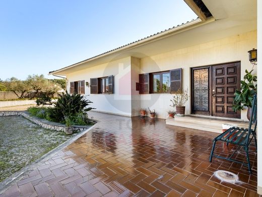 Maison de luxe à vendre à Alcanena, 495 000 €, Photo 1