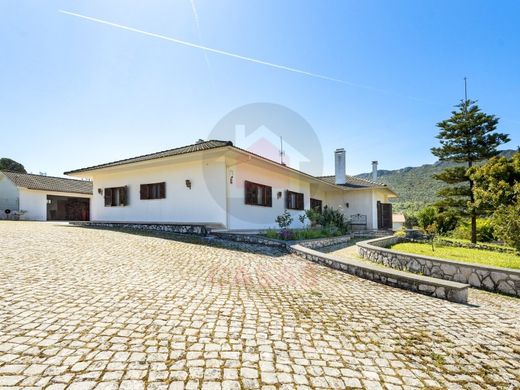 Maison de luxe à vendre à Alcanena, 495 000 €, Photo 2