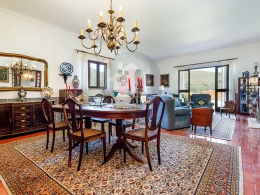 Maison de luxe à vendre à Alcanena, 495 000 €, Photo 4
