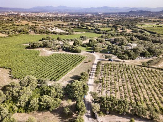 Maison de luxe à vendre à Olbia, 4 500 000 €, Photo 1