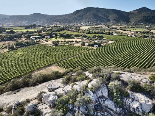 Maison de luxe à vendre à Olbia, 4 500 000 €, Photo 6