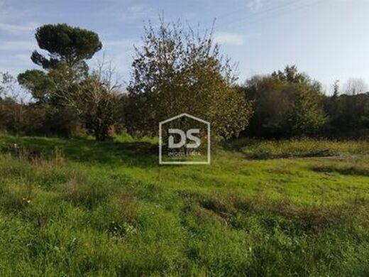 Luxury Apartment for sale in Viseu, 600 000 €, Photo 5
