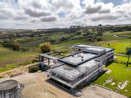 Maison de luxe à vendre à Alcobaça, 2 100 000 €, Photo 2