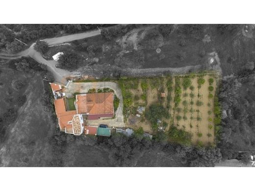 Maison de luxe à vendre à São Brás de Alportel, 780 000 €, Photo 2