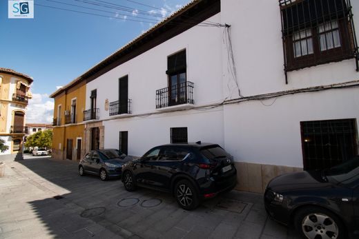 Maison de luxe à vendre à Guadix, 550 000 €, Photo 3