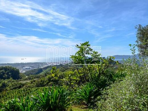 Luxury House for sale in Massa, 900 000 €, Photo 5