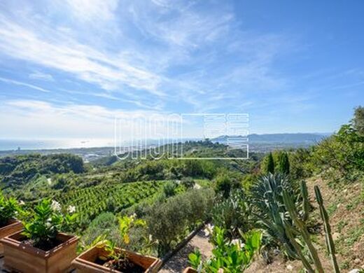 Luxury House for sale in Massa, 900 000 €, Photo 6