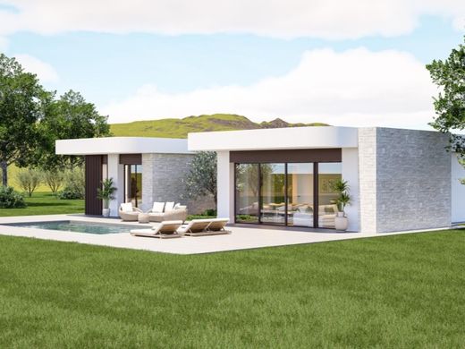 Maison de luxe à vendre à Pinoso, 530 000 €, Photo 2