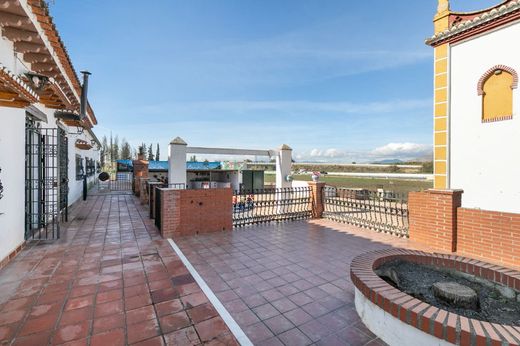 Maison de luxe à vendre à Granada, 430 000 €, Photo 3
