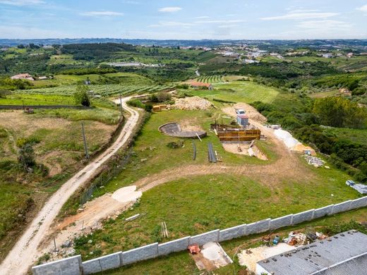 Maison de luxe à vendre à Alcobaça, 690 000 €, Photo 2
