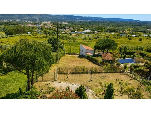 Luxury House for sale in Alcobaça, 420 000 €, Photo 3