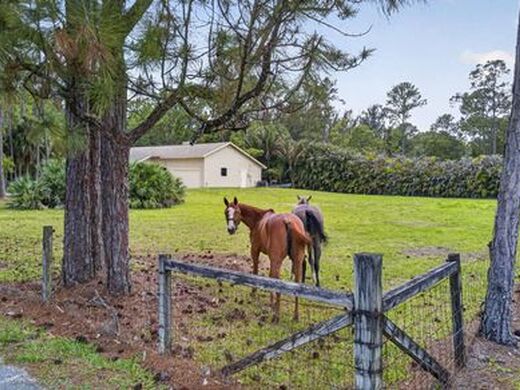 Luxury House for sale in The Acreage, 559 050 €, Photo 1