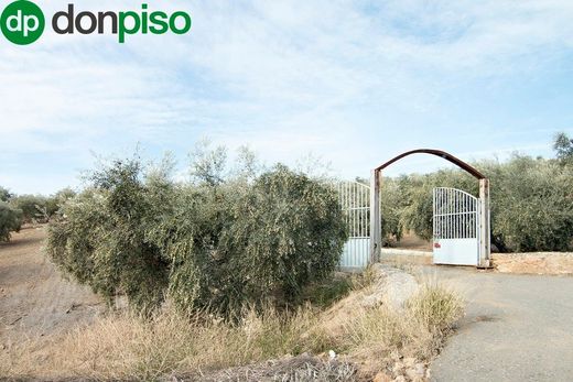 Luxury House for sale in Loja, 2 400 000 €, Photo 4