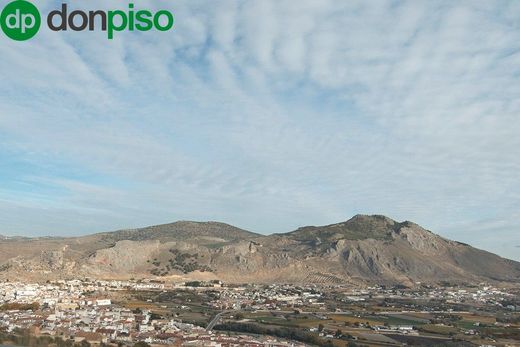 Luxury House for sale in Loja, 2 400 000 €, Photo 5