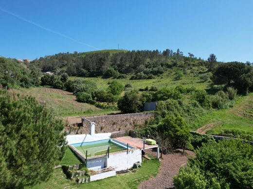 Maison de luxe à vendre à Torres Vedras, 749 000 €, Photo 6