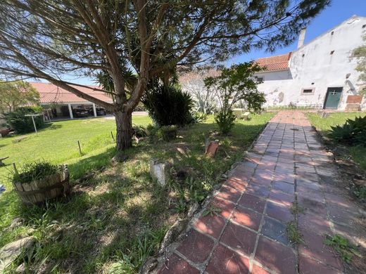 Maison de luxe à vendre à Torres Vedras, 749 000 €, Photo 7