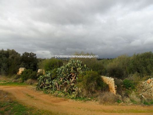 Maison de luxe à vendre à Llubí, 400 000 €, Photo 5