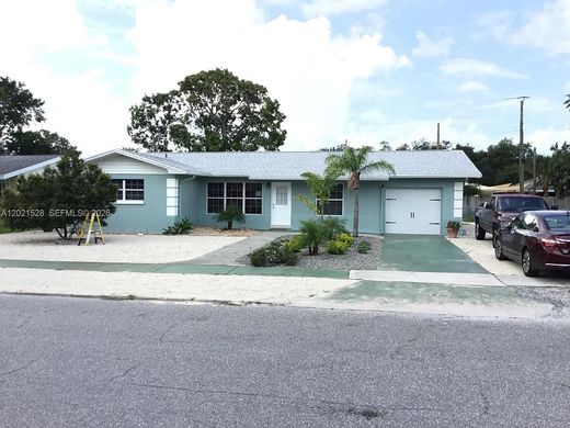 Luxury House for sale in Bradenton, 438 522 €, Photo 1