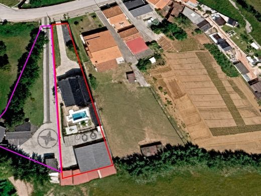 Maison de luxe à vendre à Alcobaça, 950 000 €, Photo 3