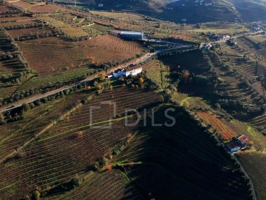 Maison de luxe à vendre à Lamego, 1 840 000 €, Photo 3