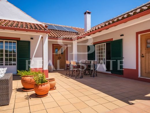 Maison de luxe à vendre à Santarém, 620 000 €, Photo 4