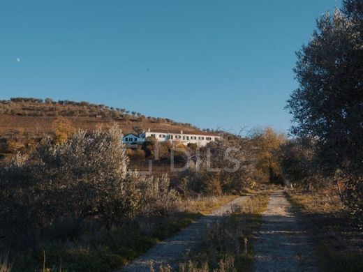 Maison de luxe à vendre à Lamego, 1 840 000 €, Photo 6