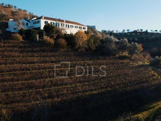 Maison de luxe à vendre à Lamego, 1 840 000 €, Photo 7