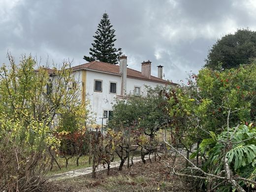 Maison de luxe à vendre à Torres Vedras, 675 000 €, Photo 1