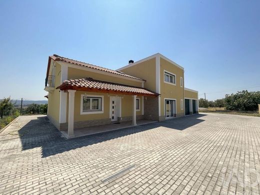 Maison de luxe à vendre à Tomar, 677 000 €, Photo 2